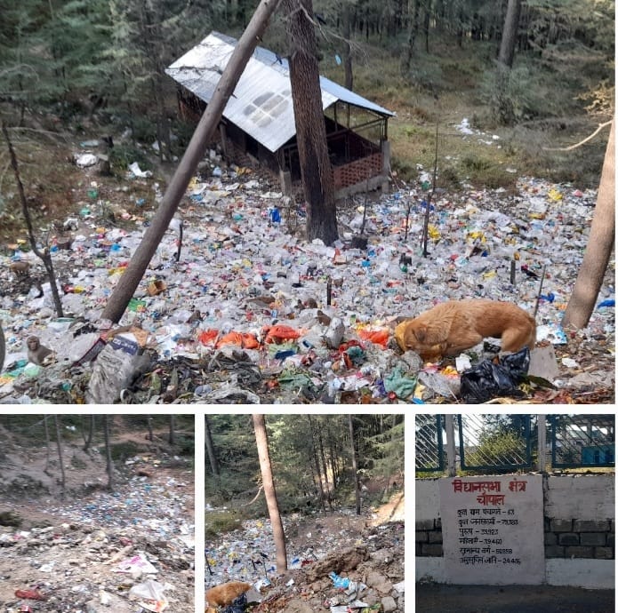 PictureChopalWasteDumpedInForest_himbumail