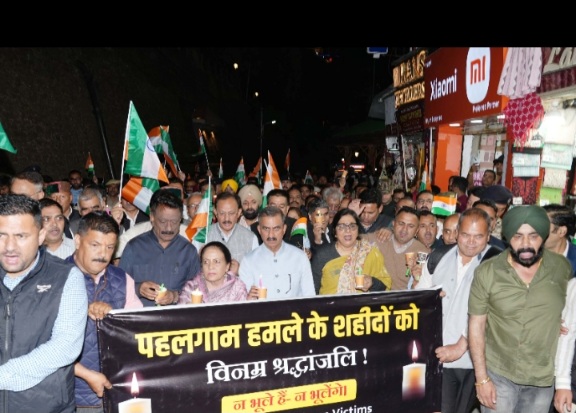 Pakistani Nationals in Himachal: 10 Allowed to Stay on LTV, 2 Deported from Solan, Says DGP
