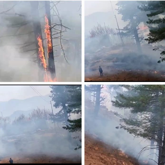 WildfireAtShilgrahan_shantha_chopal_himbumail.com