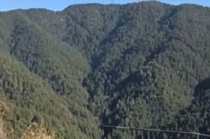 HassanValleyShimla