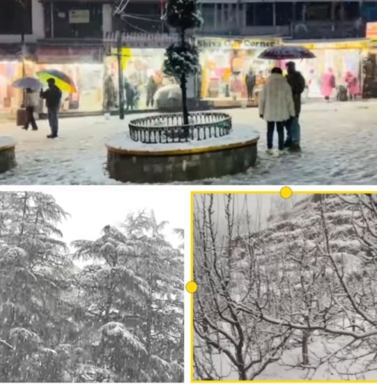 Manali town and apple orchards 