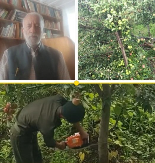 RakeshSinghaonEncroachment