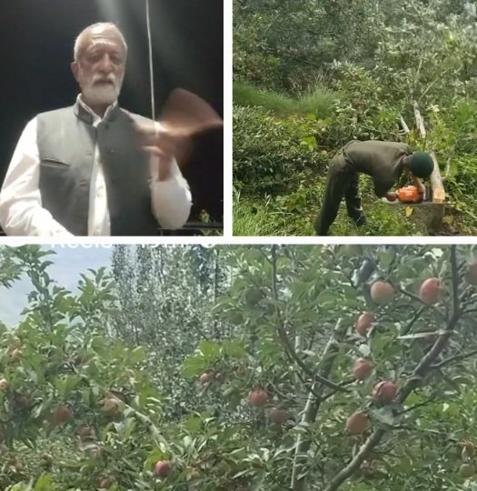 Rakesh Singha on apple plants cutting in Shimla 