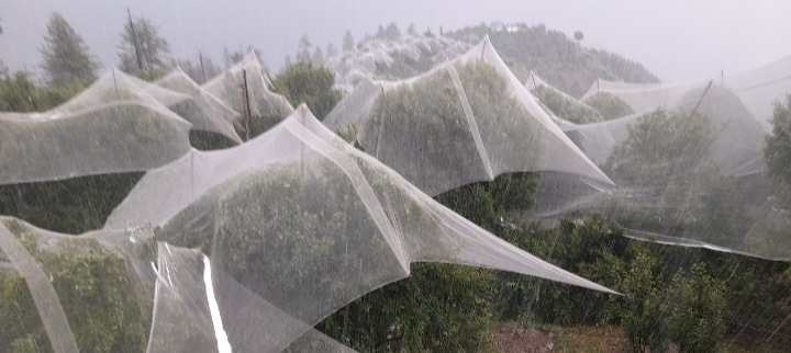 Himachal Farmers on Alert as Southwest Monsoon Hit Kerala, Mizoram, Sikkim 