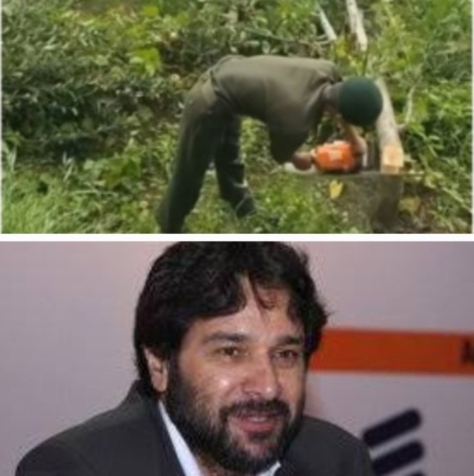 Tikender Singh Panwar on Apple Trees cutting in Shimla 