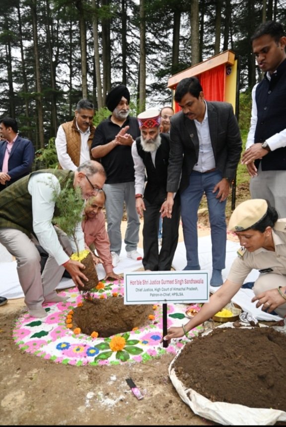 TreePlantationHighCourtShimlaNaldehra