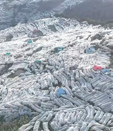 ApplebeltShimlaHimbuMail