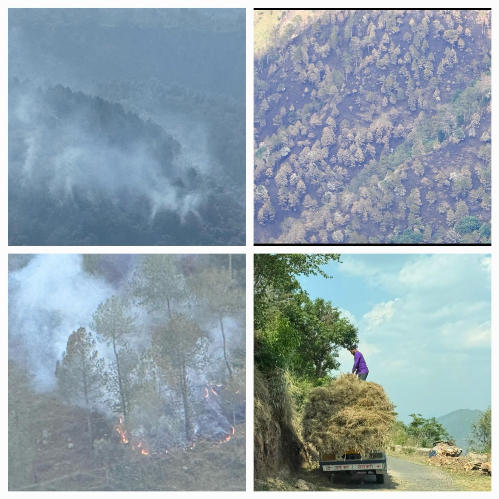 ImagesOfForestFireHimachalPradesh