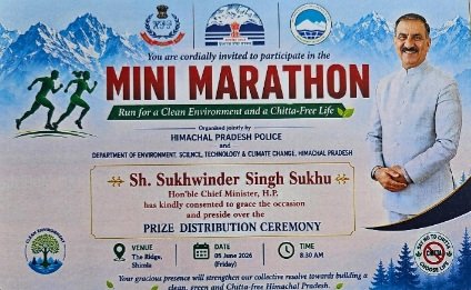 MiniMarathon2026
