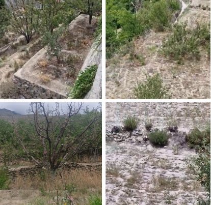 Views of Pooh town in Kinnaur 