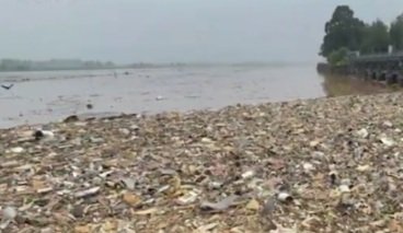 PollutionInSatluj