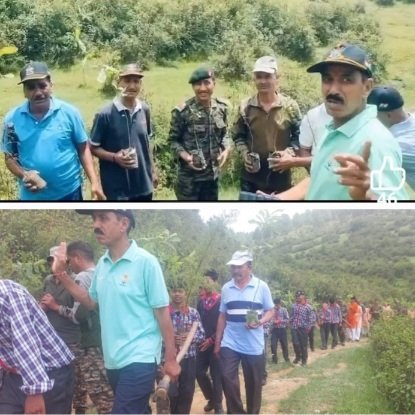 TreeplantationInUttarakhand