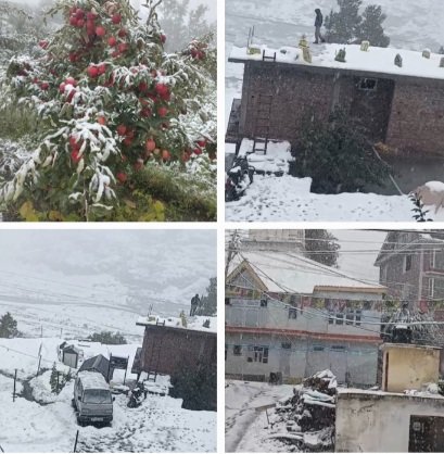 AppleTreesLadenWithSnowinLahaul