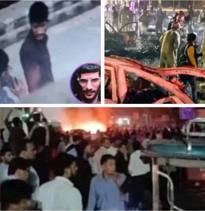 WhiteCollarTerror2025