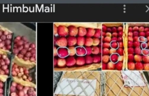 Himachal_ForeignApple