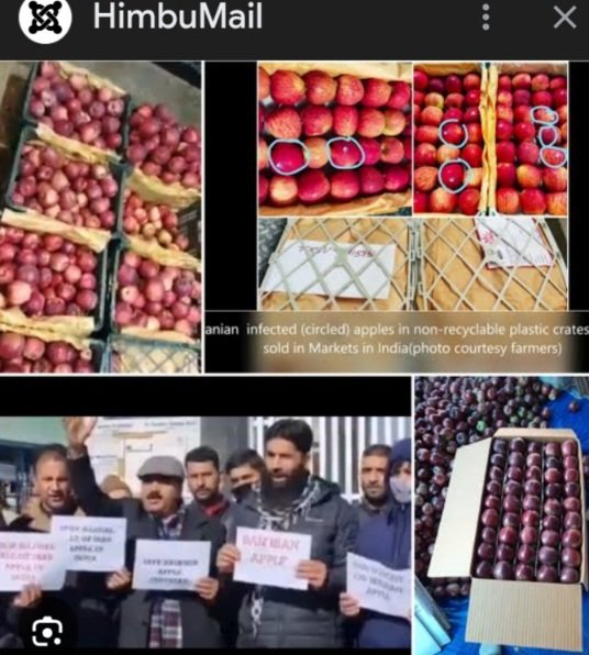 AppleFarmersAndFTAEUNewZealand