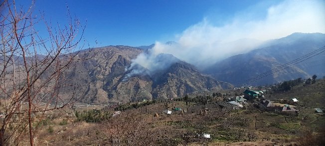 ChopalAppleBeltShimla2026