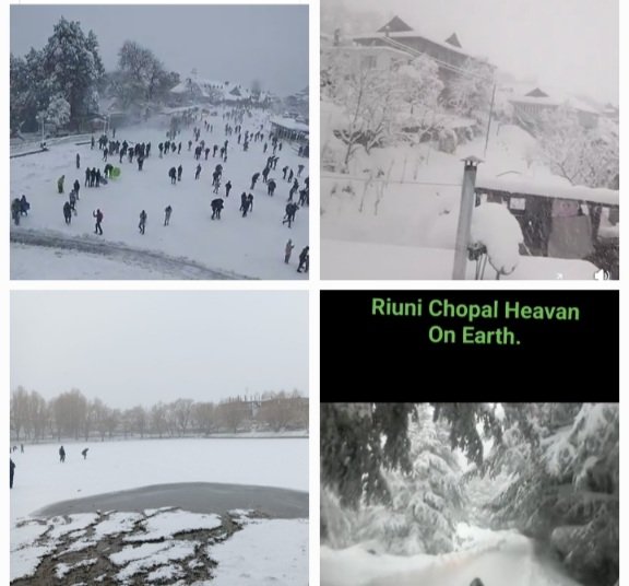 ShimlaNakoChopalShantha