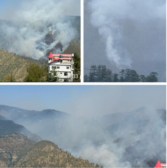 ForesFireInHimachal2026