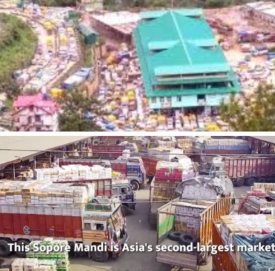 ParalaMandiSoporeMandi