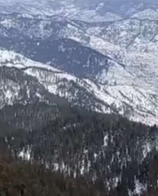 ViewOfSnowBeltHimachal