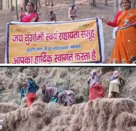 WomenCollectingPineNeedlesInUttarakhandForest